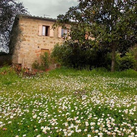 La Vigna Agriturismo Villa Siena Eksteriør billede