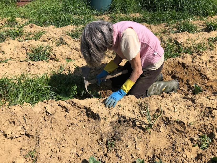 La Vigna Agriturismo Villa Siena Eksteriør billede