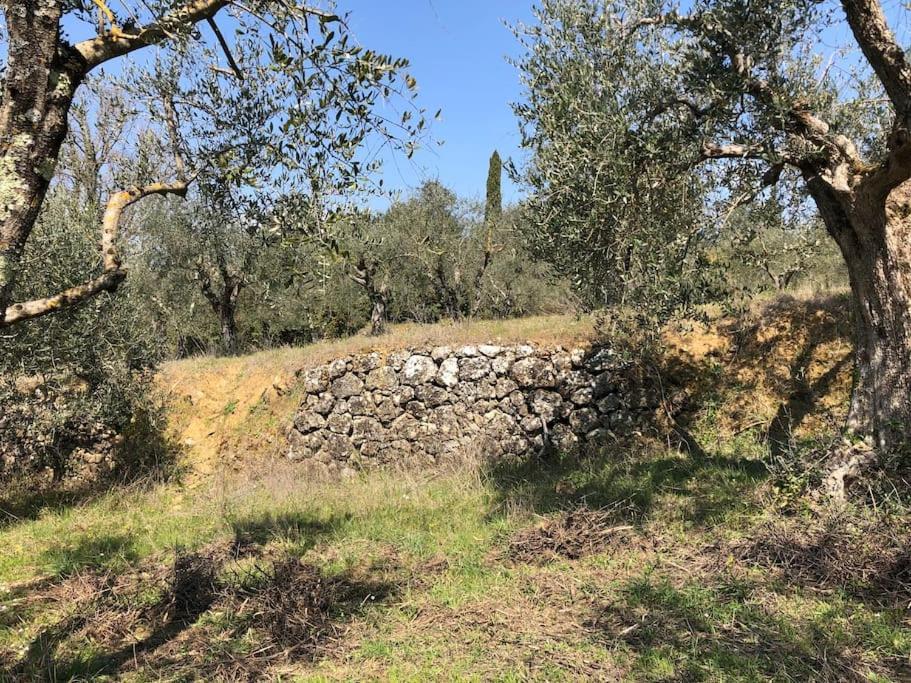 La Vigna Agriturismo Villa Siena Eksteriør billede